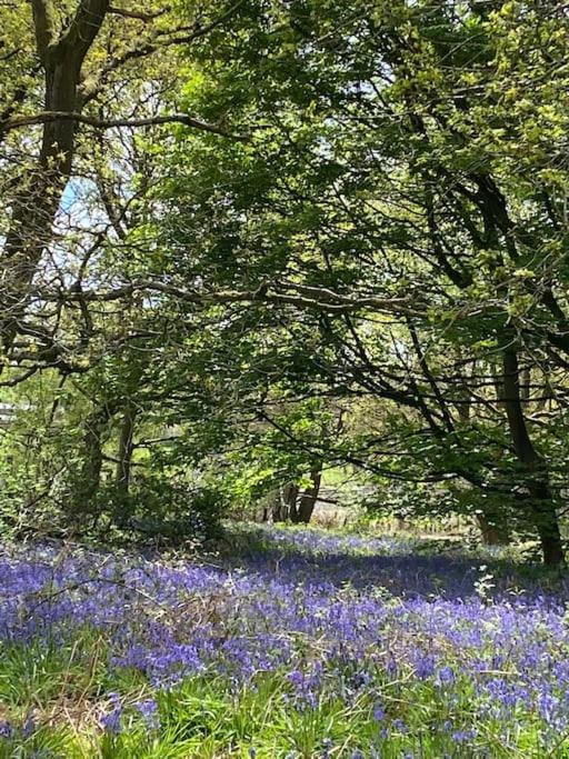 South Cottage - Garden, Views, Parking, Dogs, Cheshire, Walks, Family Adlington 외부 사진